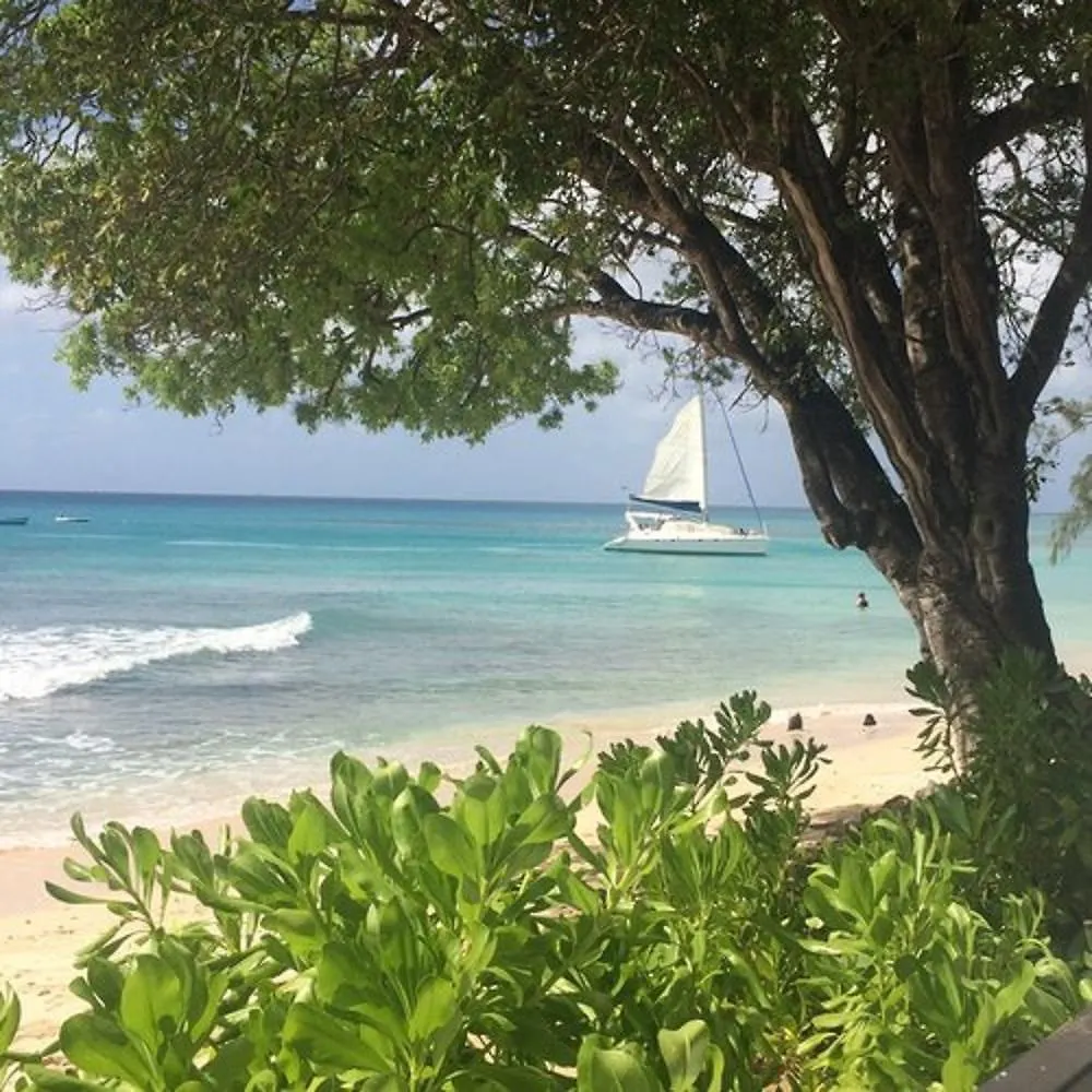 ****  Aparthotel Mullins Grove Saint Peter Barbados